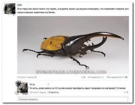Очередная порция смешных и прикольных комментариев из социальных сетей