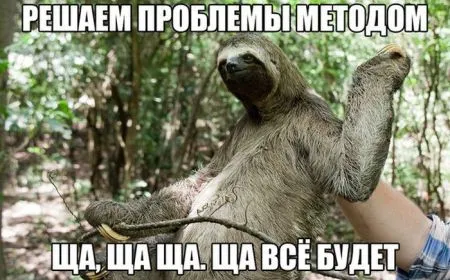 Прекрасное настроение и прикольные фото
