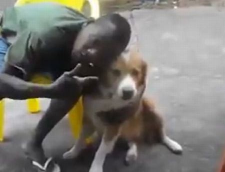 Бразилец полез к собаке целоваться после серьезного разговора