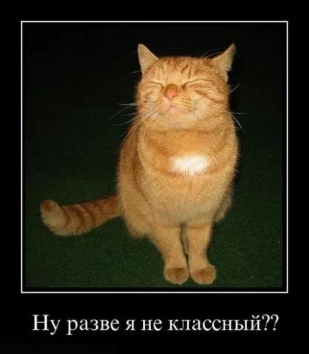 Демотиваторы, ну так чтобы скучно не было