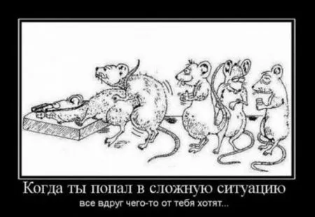 Демотиваторы, ну так чтобы скучно не было