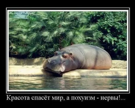 Демотиваторы, ну так чтобы скучно не было