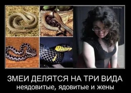 Демотиваторы, ну так чтобы скучно не было