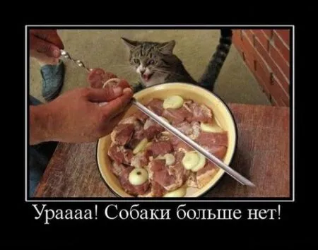 Демотиваторы, ну так чтобы скучно не было