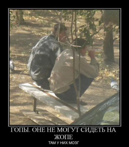 Демотиваторы, ну так чтобы скучно не было