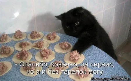 Котоматрицы приколы про животных