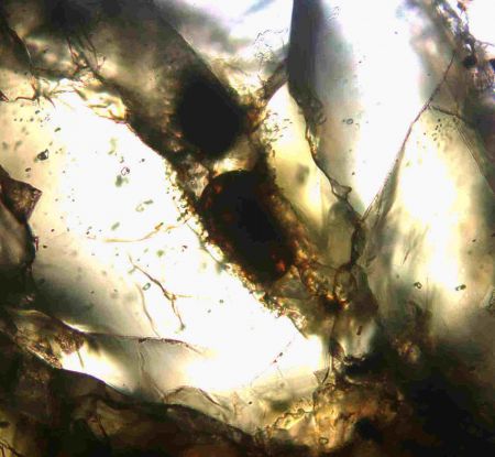 В метеорите с Марса нашли странную структуру
