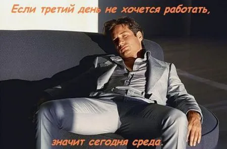 Фото приколы среды
