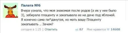 Современные мамаши пишут в интернете