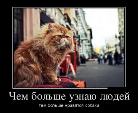 Немного демок мы собрали