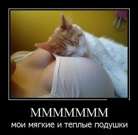Новые картинки в черных рамках