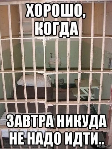 Смешные картинки, прикольные фото