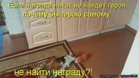 Котоматрица, коты и веселые подписи к фото