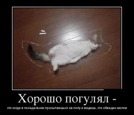 Демотиваторы в них море позитива