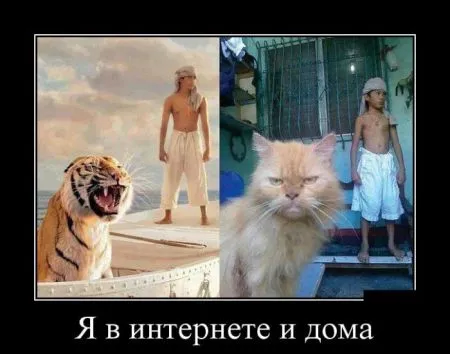 Демотиваторы в них море позитива
