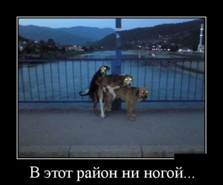 Демотиваторы в них море позитива