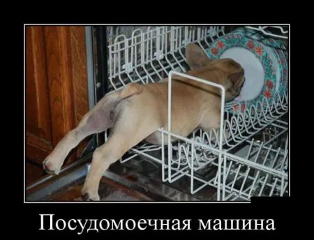 Смотри демотиваторы будь на позитиве