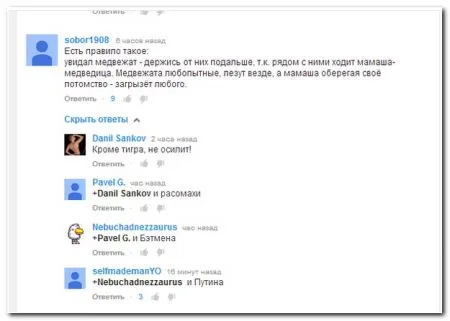 Смешные комментарии из социальных сетей 24 фото