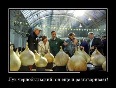 Демки для начала Демки для начала