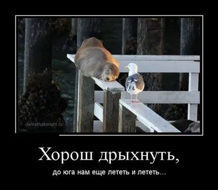 Демки для начала Демки для начала