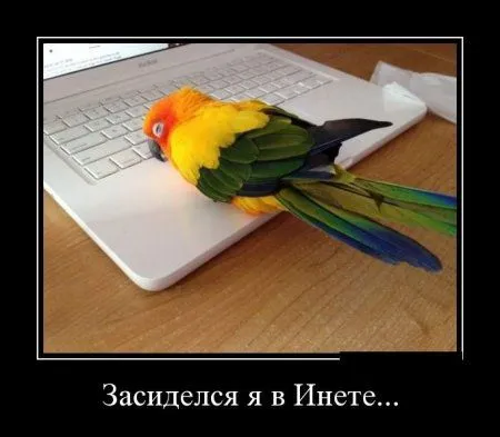 Демки для начала Демки для начала