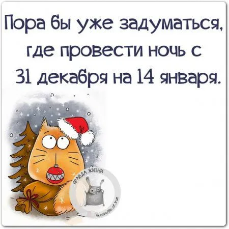 Правдивости с юмором