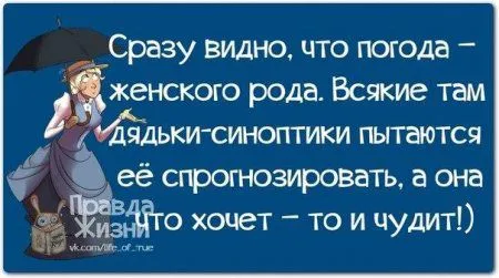 Правдивости с юмором