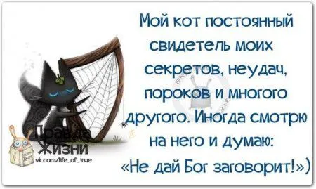 Правдивости с юмором