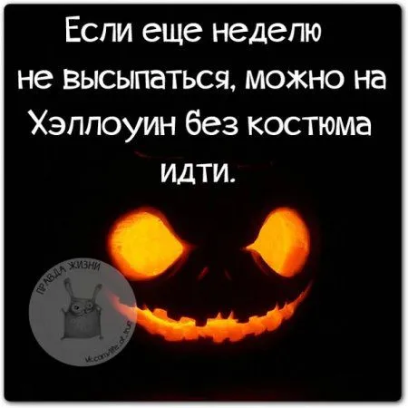 Правдивости с юмором