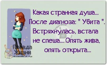 Правдивости с юмором