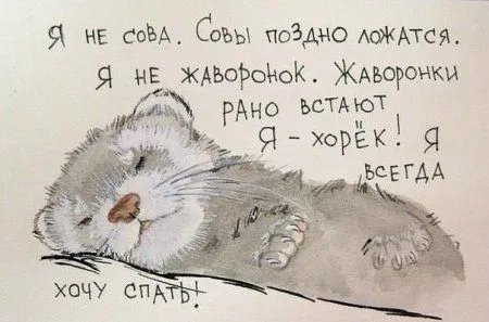 Правдивости с юмором