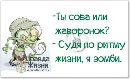 Правдивости с юмором (29 картинок)