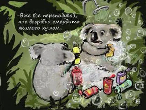 Путин с коалой "взорвал" интернет