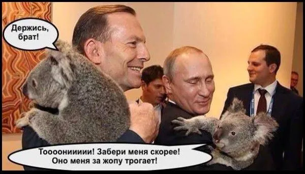 Путин с коалой "взорвал" интернет