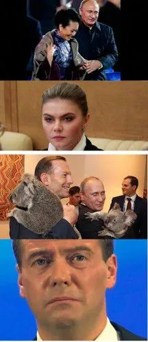 Путин с коалой "взорвал" интернет