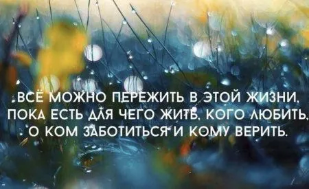 Правдивости с юмором 25 картинок Правдивости с юмором 25 картинок