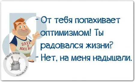 Правдивости с юмором 25 картинок Правдивости с юмором 25 картинок