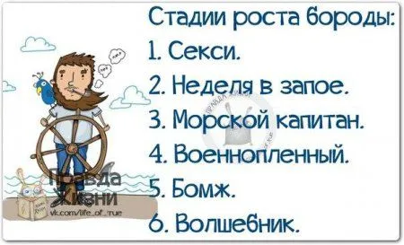Правдивости с юмором 25 картинок Правдивости с юмором 25 картинок