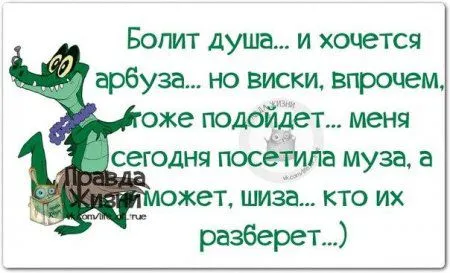 Правдивости с юмором 25 картинок Правдивости с юмором 25 картинок