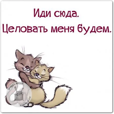 Правдивости с юмором