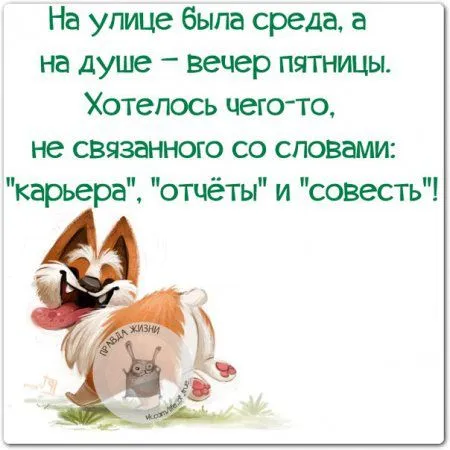 Правдивости с юмором