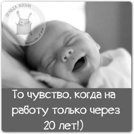 Правдивости с юмором