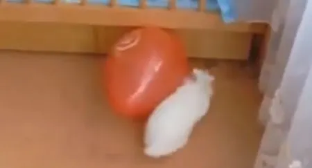 Другие Среди Нас