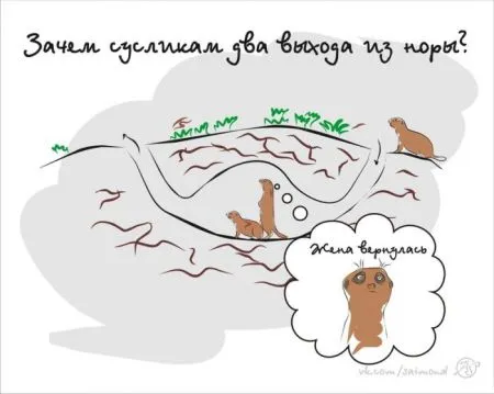 Смешные комиксы (20 картинок)