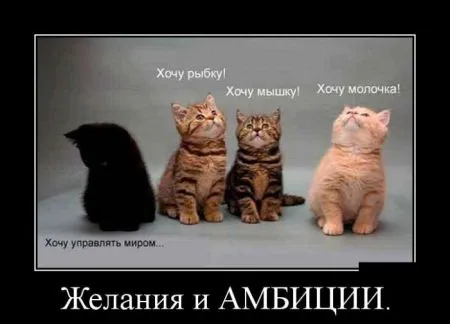 Подборка демок на вечерок (29 фото)