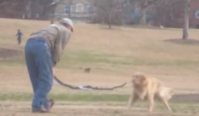 Собака не хочет уходить из парка