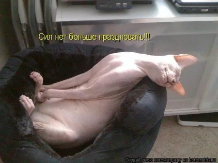 Котоматрица на Пятницу