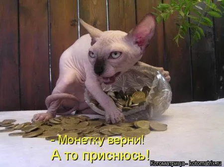 Котоматрица на Пятницу