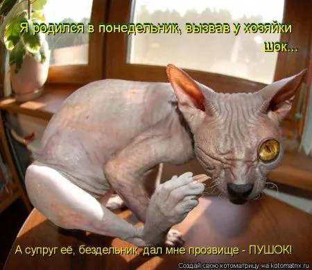 Котоматрица на Пятницу