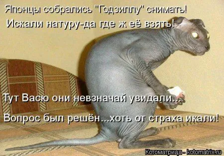 Котоматрица на Пятницу